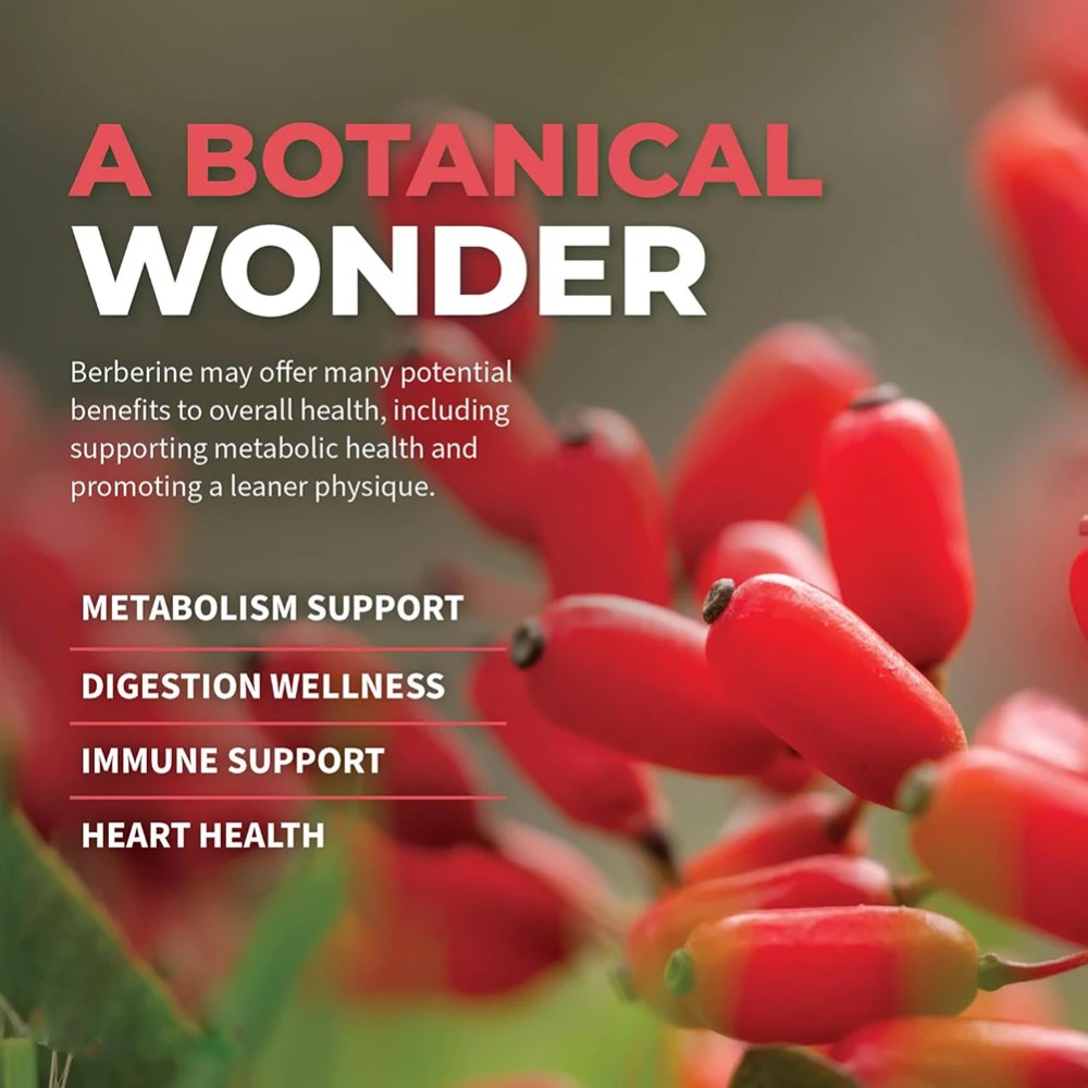 Berberina HCl con Canela de Ce - Berberine Hcl Capsule reseña y precio
