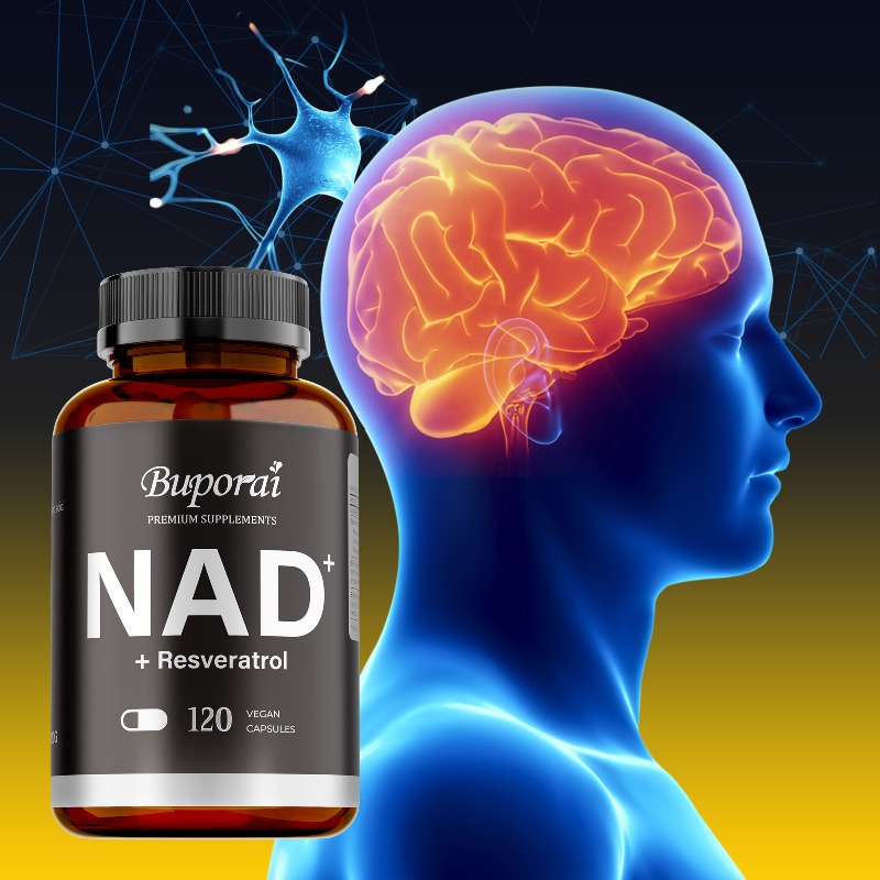 Suplementos de NAD+ - Antienve - Resveratrol Capsule Anti Aging reseña y precio