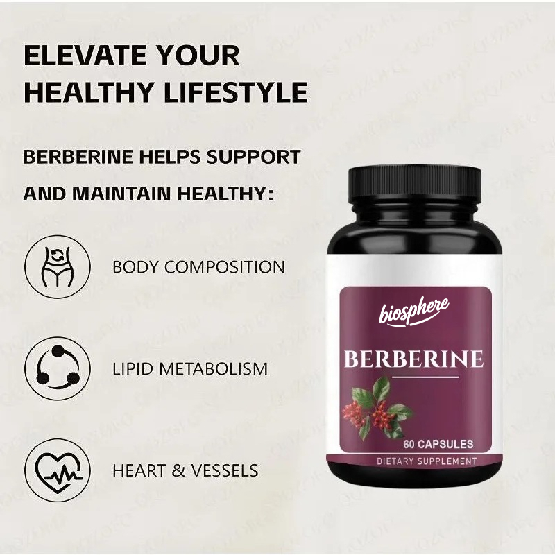 Suplemento Berberine-60 cápsul - Berberine Hcl Capsule reseña y precio